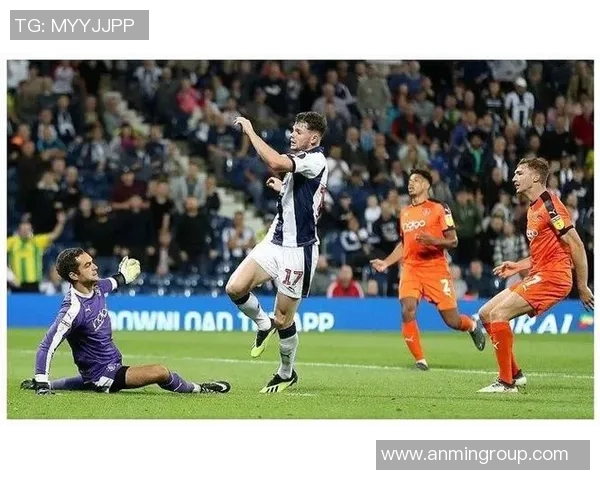 卢顿对阵巴恩斯利精彩直播全程回顾与赛后分析