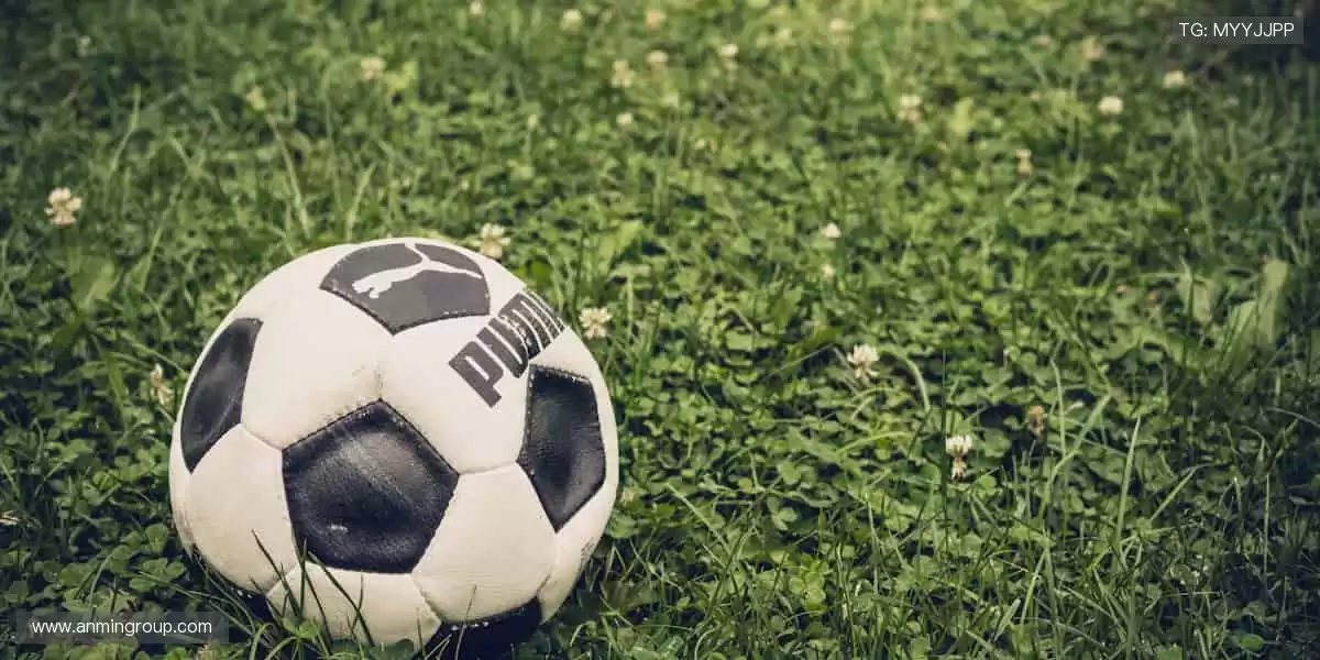 ⚽️热血赛事，一触即发！🏆点击解锁你的专属体育狂欢盛宴！